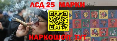 ALPHA PVP Ставрополь