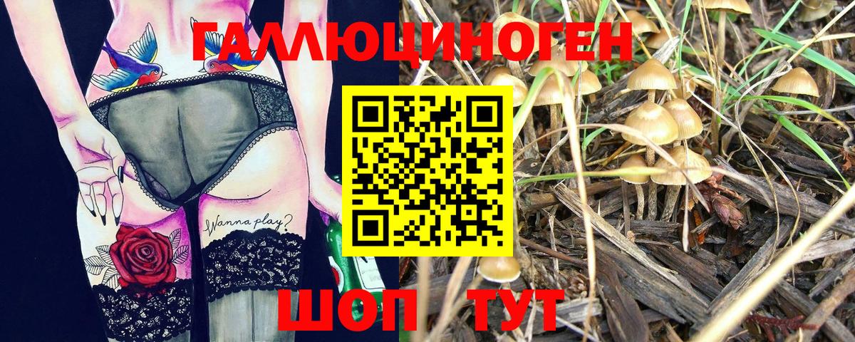 как найти наркотики  Галлюциногенные грибы Psilocybine cubensis  Вход с VPN  Галлюциногенные грибы GOLDEN TEACHER  Лыткарино 