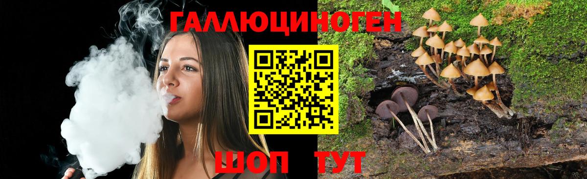 Псилоцибиновые грибы MAGIC MUSHROOMS Лыткарино